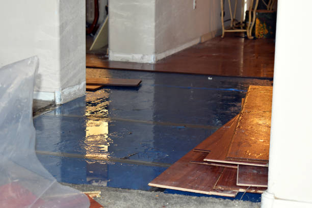 Professional Basement Flood Cleanup technician working in Natrona Heights, PA